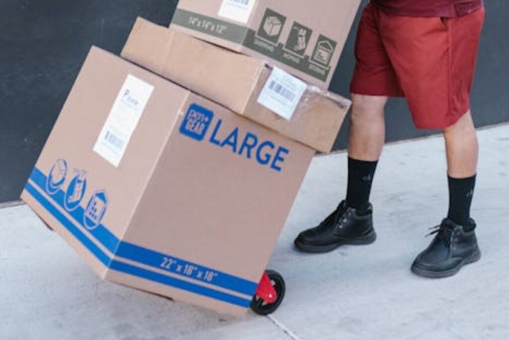 Welcome to TechCh - Your Ultimate Parcel Tracking Solution